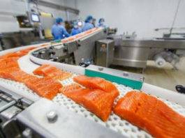 Норвежский лосось — самая токсичная еда во всём мире