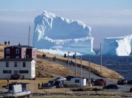 В Канаде небывалый ажиотаж: к берегу приплыл айсберг колоссальных размеров! Смотрите его разрушение!