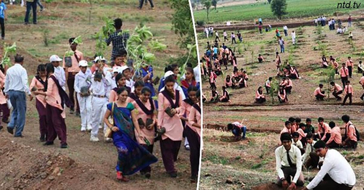 1,5 миллиона индийцев посадили 66 млн деревьев за 12 часов - и побили рекорд!