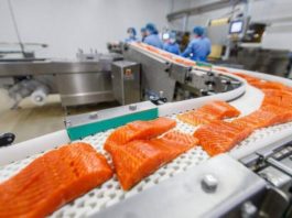 Раскрываем страшную правду: Норвежский лосось — самая токсичная еда в мире