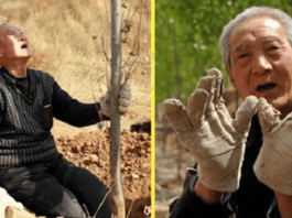 Безногий 70-летний ветеран, за 19 лет смог посадить 17 тыс деревьев