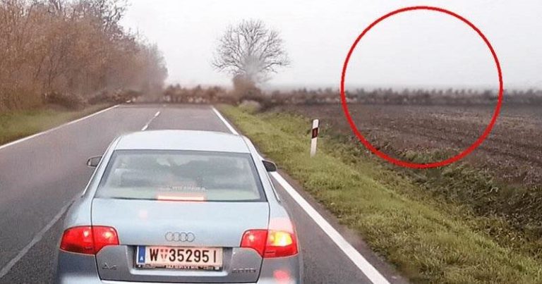 Это возникло ниоткуда на пустой дороге… Водители никогда не смогут забыть этот момент