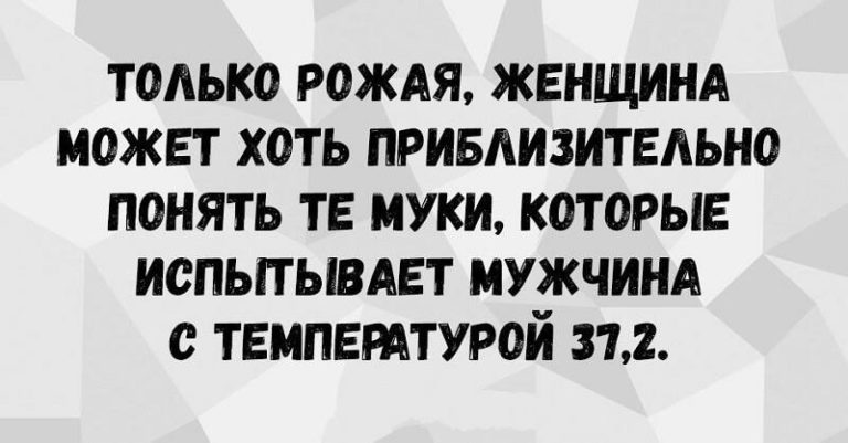 Кот футболиста никогда не спит клубком. Дюжина новых анекдотов!