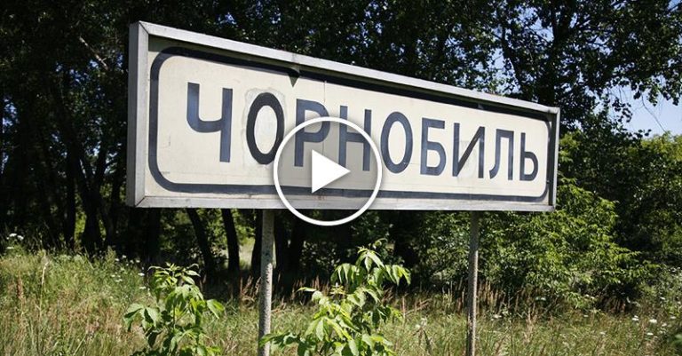 Исследователи в шоке от происходящего! Чернобыль спустя 30 лет после катастрофы…