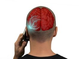 Вред мобильного телефона по мнению ученых: какие опасности для здоровья таит сотовый