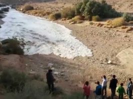 Туристы в пустыне снимали давно высохшую реку. Через секунду все кричали от…