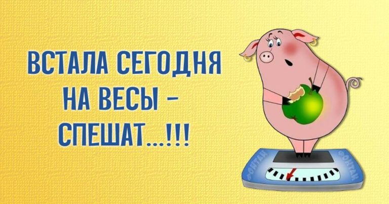 Семнадцать смешных анекдотов для поднятия настроения