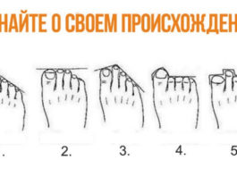 Теория: по расположению пальцев на ногах можно узнать, кем были твои предки