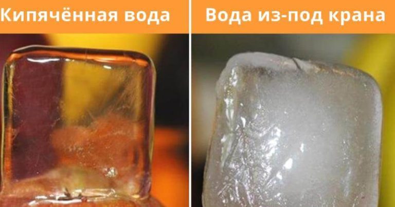 39 фактов о мире вокруг, которые заставят открыть рот даже самых умных из нас