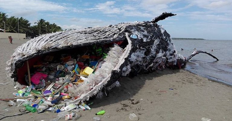 15 фотографий, показывающих насколько загрязнены водные ресурсы Земли