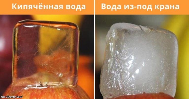 39 фактов о мире вокруг нас, которые заставят открыть рот даже самых умных из нас