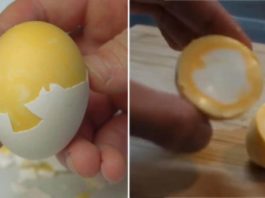 Яйца «наизнанку»: как сварить яйца, чтоб белок и желток поменялись местами. Необычный способ варки яиц от японского кулинара