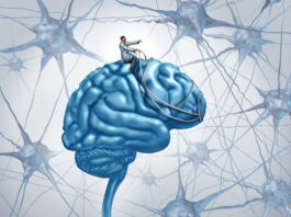 Нейропластика мозга: Как ВЫ мыслите, так вам и БУДЕТ