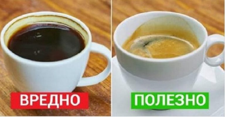 7 важных фактов, о которых должен знать каждый кофеман…