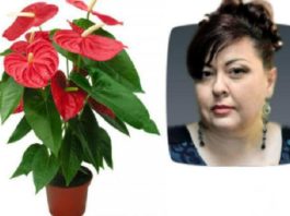 Елена Курилова рассказала о 10 растениях, которые принесут счастье и деньги в ваш дом