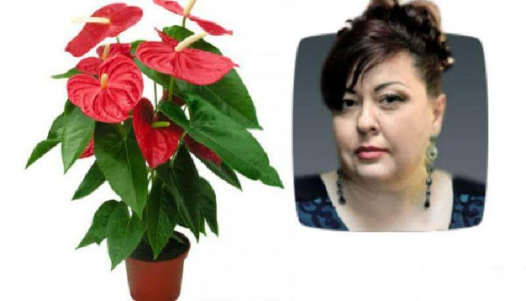 Елена Курилова рассказала о 10 растениях, которые принесут счастье и деньги в ваш дом