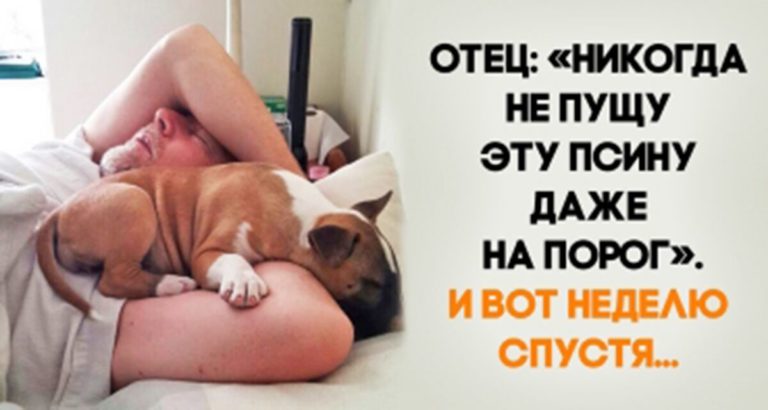 Люди, которые были против домашних животных, а теперь не представляют жизнь без них