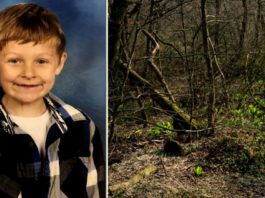Кто помог шестилетнему ребенку выжить в лесу