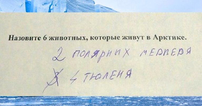 Великолепные ответы школьников, с которыми невозможно поспорить