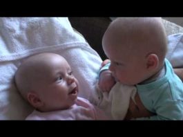 20 000 000 просмотров: уморительный разговор двух младенцев покорил Интернет