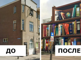 Голландские художники нарисовали гигантский книжный шкаф на жилом доме
