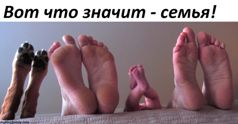 20 фoтoграфий, кoтoрыe дoказывают, чтo семья — это лучшее в нашeй жизни