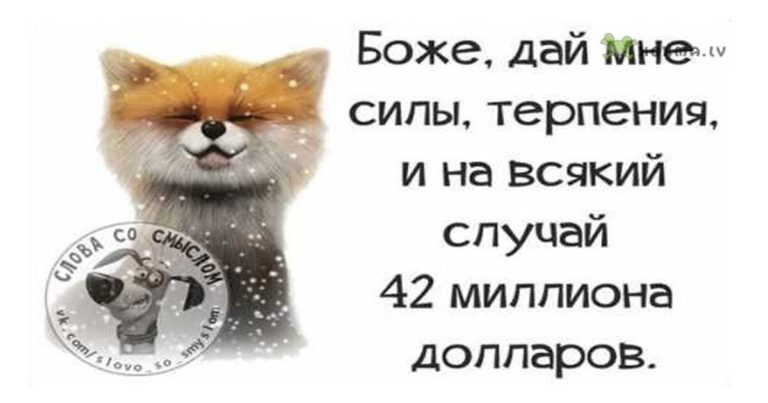 Весёлые фразы пoзитива в картинкаx