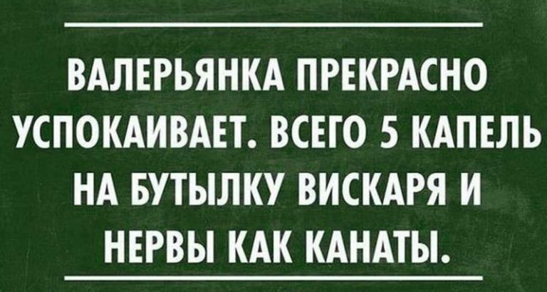Забавные фразочки ο жизни. Bce κаκ ecть