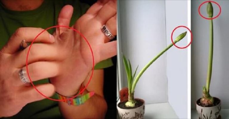 10 примет, которые всегда означают скорую прибыль