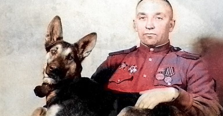 Джульбарс. Пёс, которого на Параде Победы несли на руках