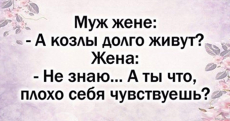 Истории с хорошим настроением