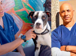 Калифорнийский доктор Айболит: мужчина бесплатно лечит животных бездомных людей