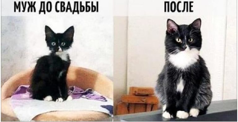 9 фотографий о том, как меняется жизнь после свадьбы