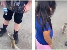 Трогательное видео: белочка попросила у людей воды и они помогли ей