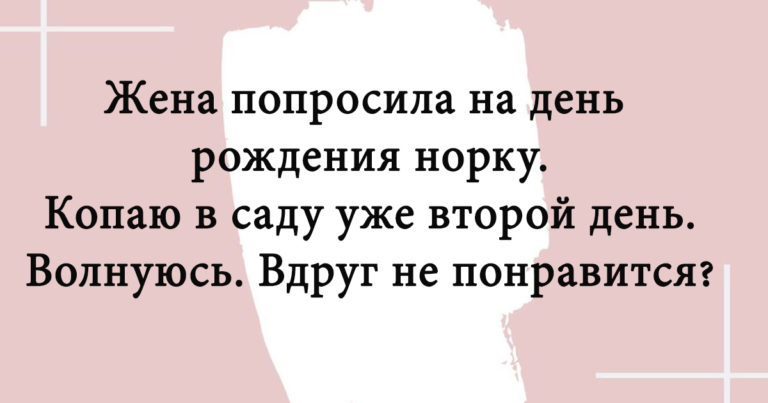 Открытки о жизненных сюжетах, которые обеспечат вам хорошее настроение