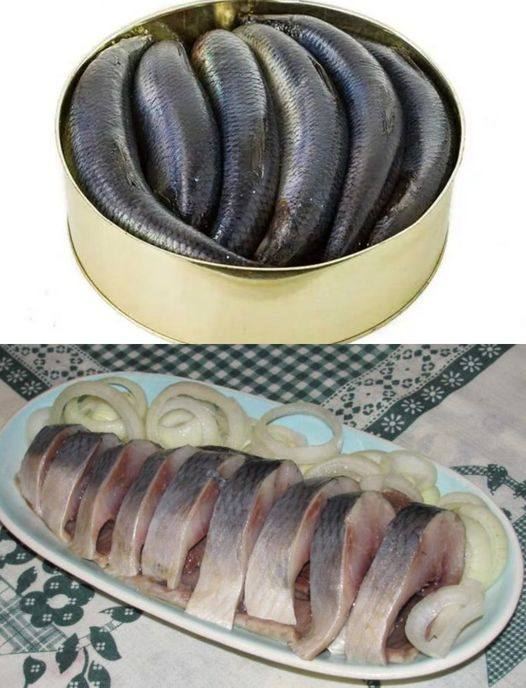 Помните вкусную селёдку в СССР? Вот ее рецепт! «Это был доступный для народа продукт»