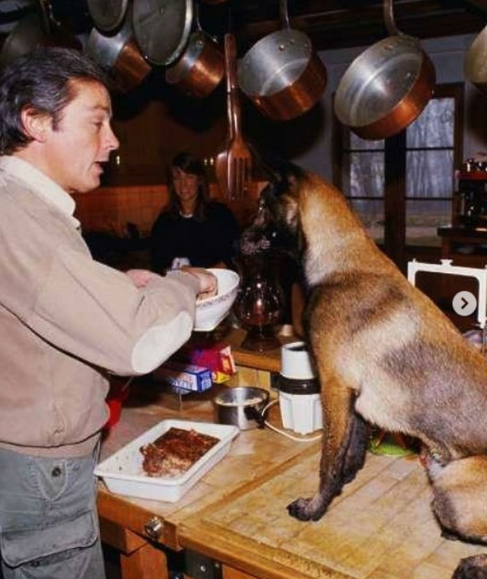 Собаки не делают ничего плохого, убежден артист. Источник - *instagram.com/malinuasha