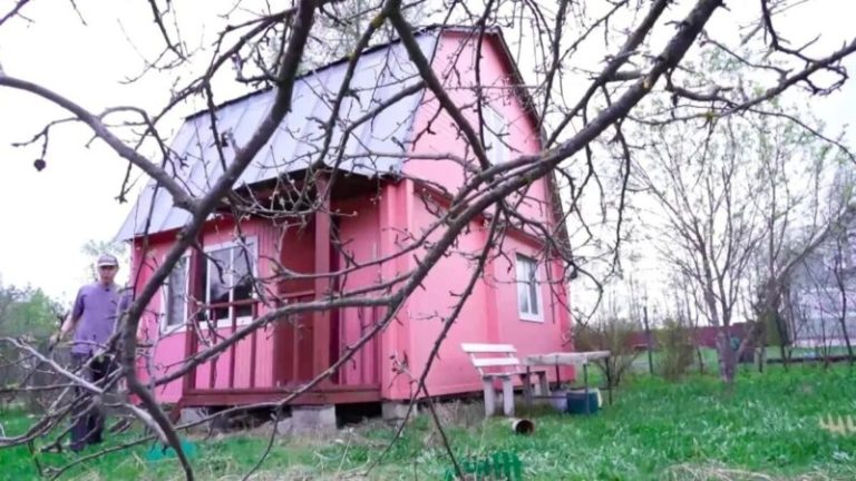 «Телеведущий без роскоши»: Соседов показал розовую дачу в деревне и удивил поклонников условиями жизни