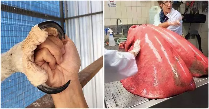 30 вещей, которые в реальности гораздо больше, чем мы думали