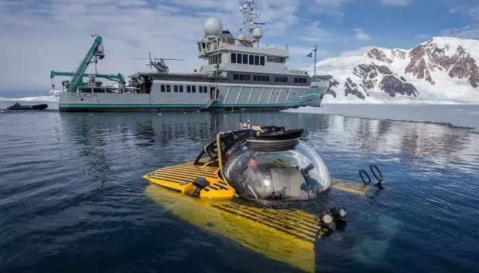 На морском дне Антарктиды кипит «тропическая» жизнь