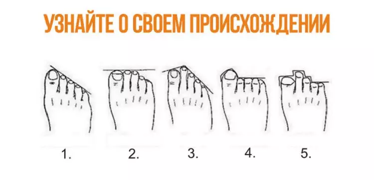 Теория: по расположению пальцев на ногах можно узнать, кем были твои предки
