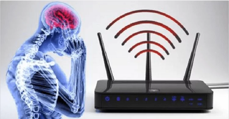 В Европе запрещают Wi-Fi в школах и детсадах. И вот почему