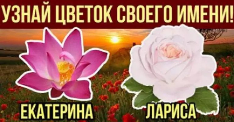 Какой цветок соответствует вашему имени и является вашим талисманом