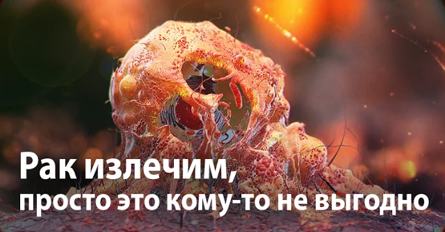 Рак излечим, просто это кому-то не выгодно