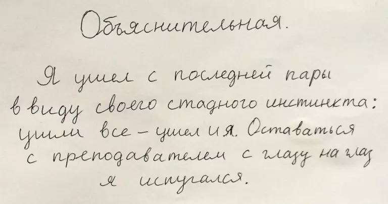 12 угарных объяснительных, авторов которых хочется понять и простить