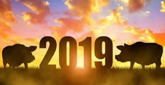 Главное слово-девиз для каждого знака зодиака на год Жёлтой Свиньи 2019
