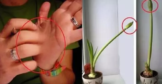 10 примет, которые всегда означают скорую прибыль
