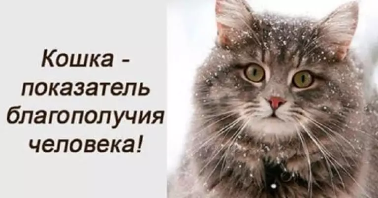 А вы знали, что кошка является показателем благополучия?