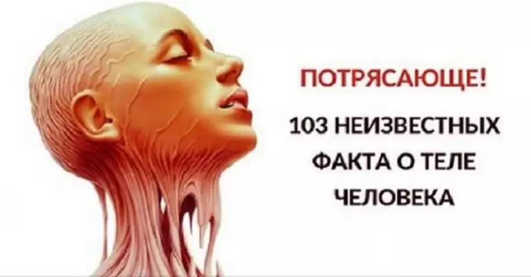 Ошеломительные факты о человеческом теле