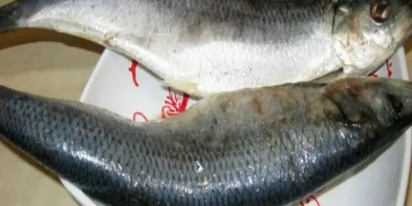 Чистка сельди от костей одним движением. Я и не думала, что это так просто